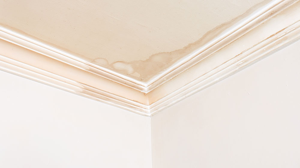 Water Leak Repair